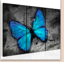 pillangó vászonkép